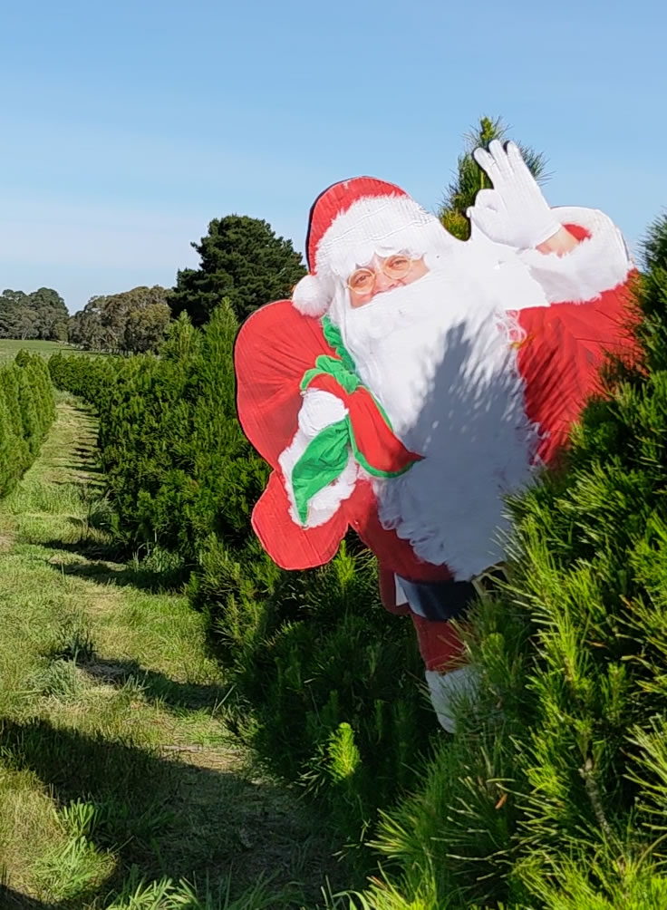 Santa visits Sam's Christmas Trees
